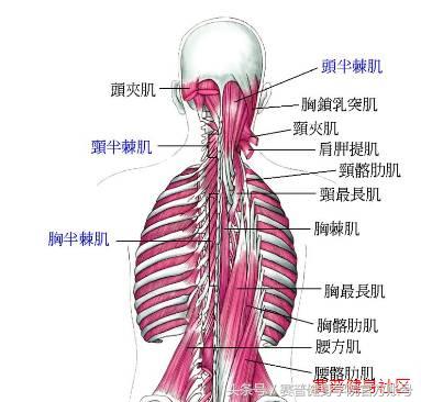 高低肩 如何矫正？