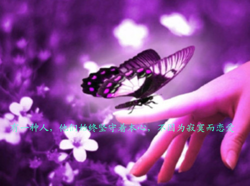 表达一个人心累伤感带字图片说说