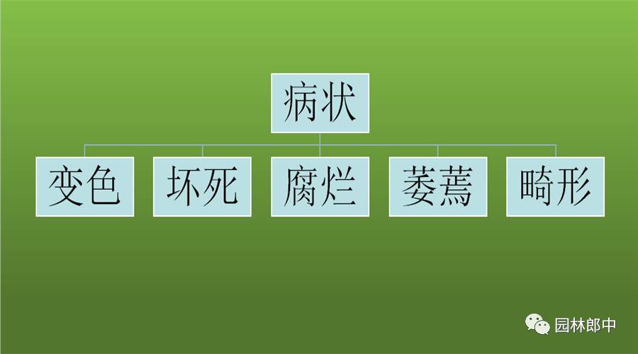 要想防治园林病害，这些基础知识你必须知道！-第1张图片-农百科