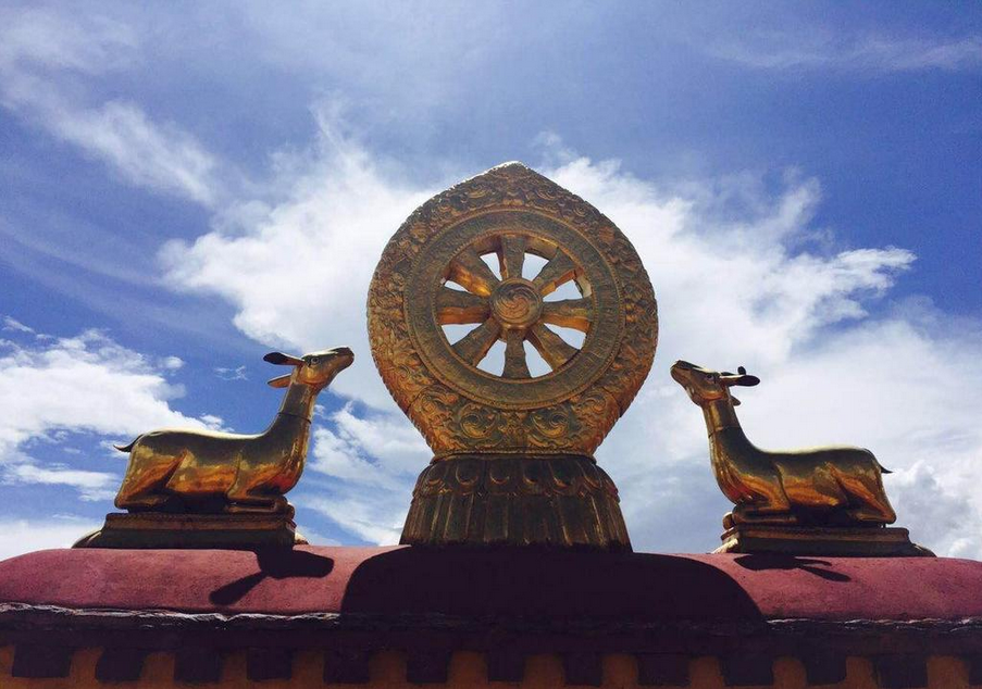 离天堂很近，梦也不远丨初见西藏的14日