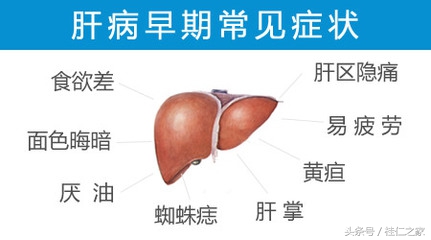 药损伤肝病症状（肝病症状）