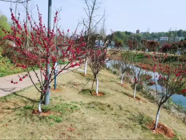 湘潭最漂亮的公园，风景美醉了！你来过吗？