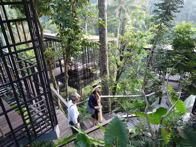 这次虹夕诺雅用“鸟笼”和“河谷”概念，把酒店做到丛林之间，梯田之上