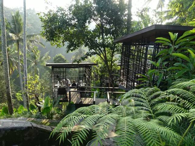 这次虹夕诺雅用“鸟笼”和“河谷”概念，把酒店做到丛林之间，梯田之上