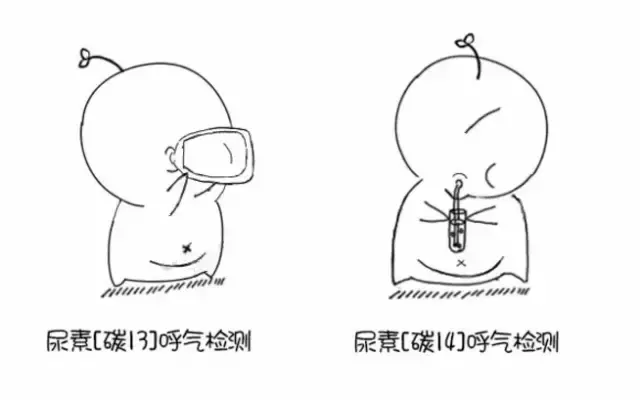 消化科主任口述:你的胃是怎样被幽门螺杆菌一步一步毁掉的-第2张图片-农百科 消化科主任口述:你的胃是怎样被幽门螺杆菌一步一步毁掉的-第2张图片-农百科