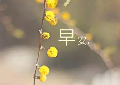 早安问候语配图片 生活总是这样，不能叫人处处满意图片