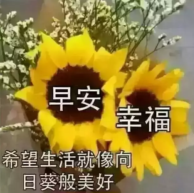 早安图片 早安问候语配图片图片