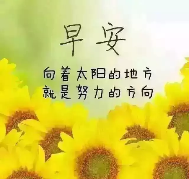 早安图片 早安问候语配图片图片