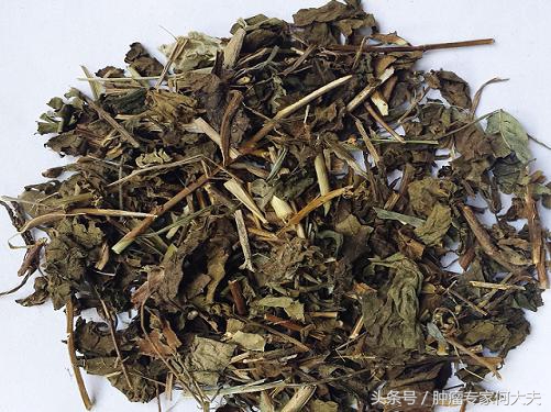 中药冬凌草，又叫延命草，河南民间用来防治食管癌，好用么？