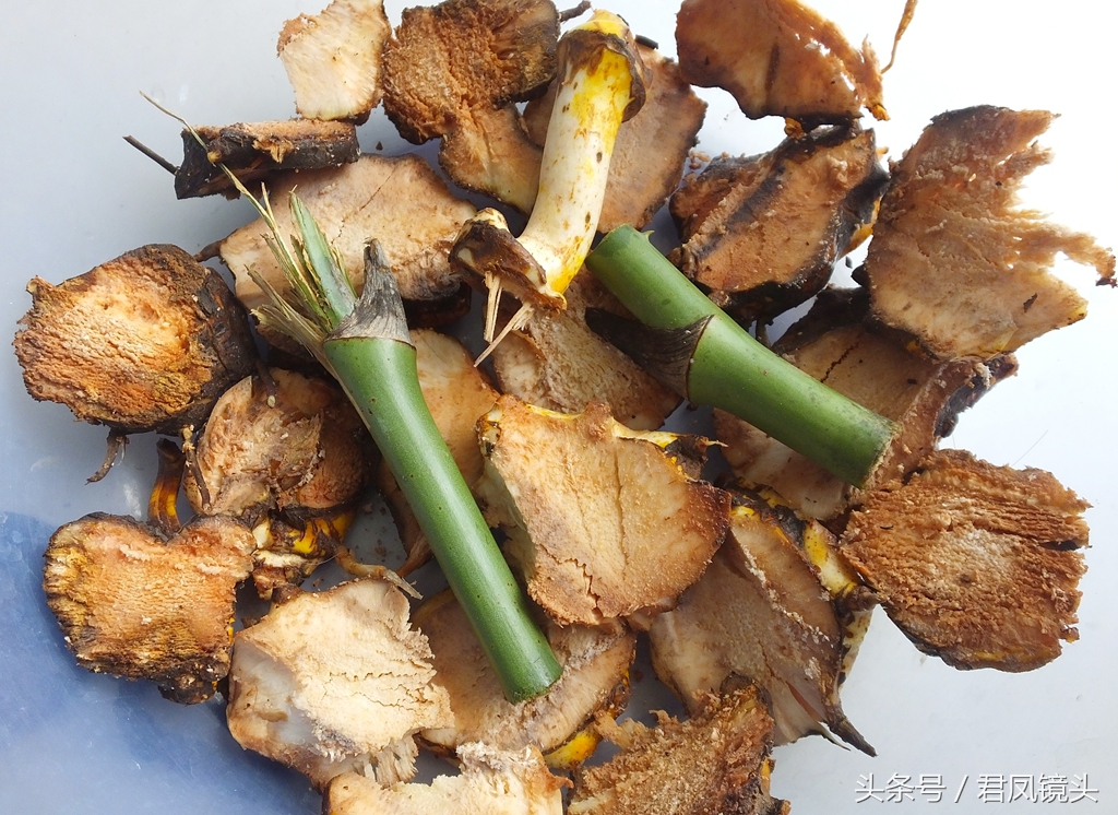金刚藤的功效与作用(金刚藤的功效与作用)-知道啦