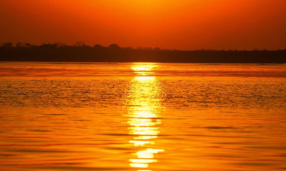 带你走近中国第一大淡水湖--鄱阳湖