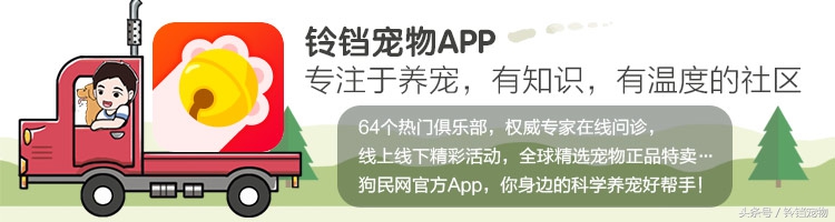 Leave " demons and ghosts " , pat a dog to pay attention to pair of Jiao Xun fast agile