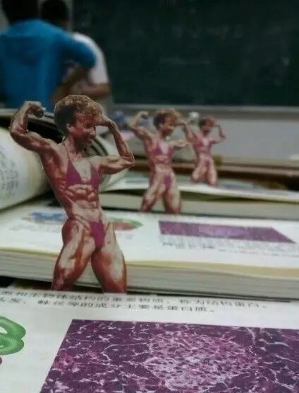 老师：是哪位同学把生物书上的肌肉女剪出来的，你给我站起来！