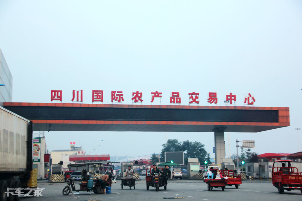 押車賣貨隨處可見 實(shí)地探訪成都水果市場(chǎng)早市