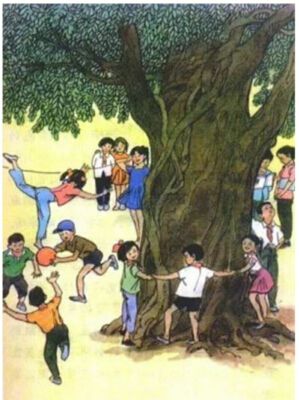 检验80后集体记忆，十篇经典小学课文，你记得多少？