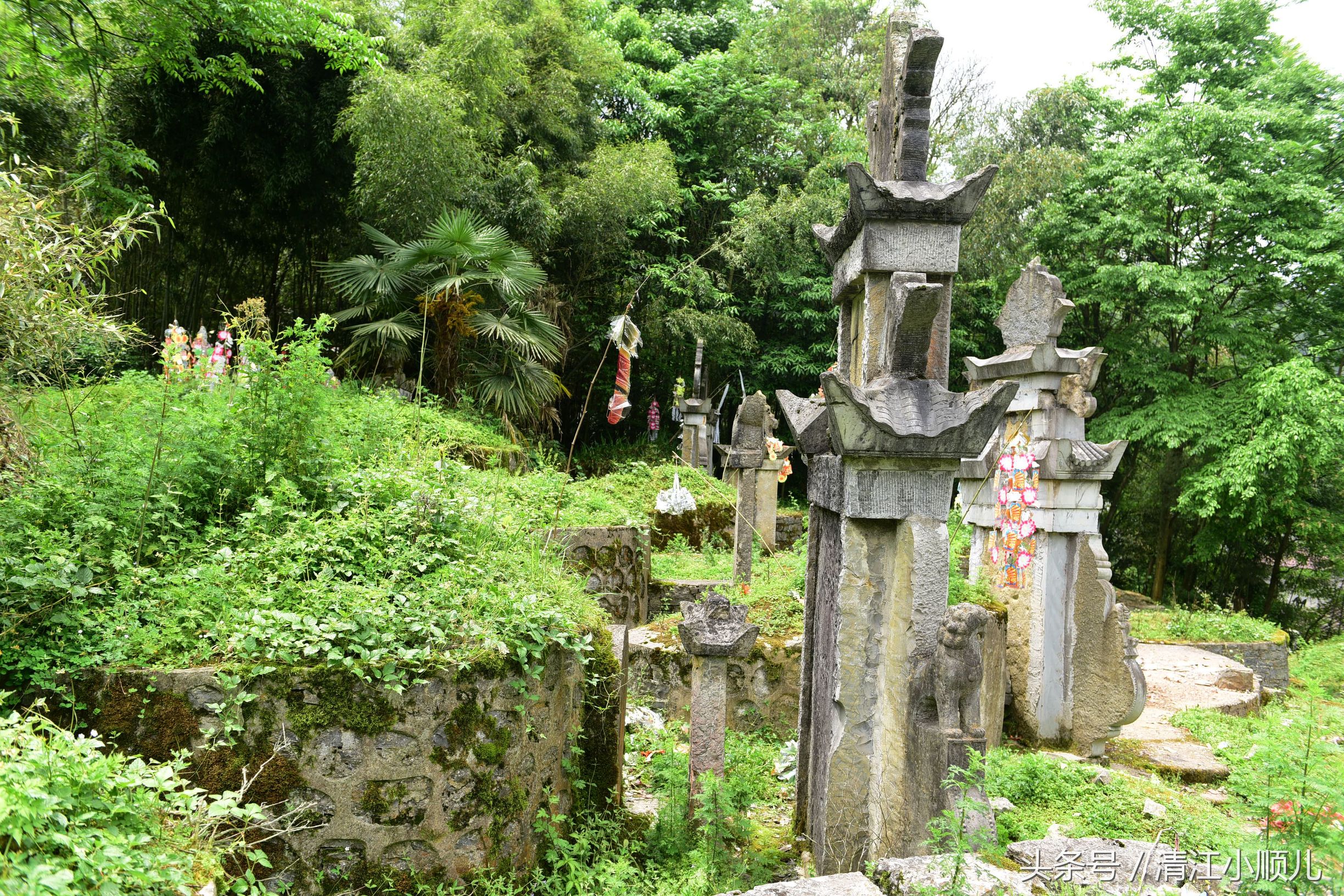   神奇！农村山区祖坟墓葬风水好，后代大多当官