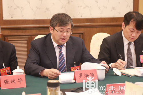 罗海涛代表：深入开发石墨资源 加快县域经济发展