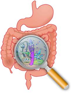 Cell：利用基因剪刀操纵肠道微生物组的基因活性