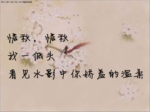 三言两语的情话