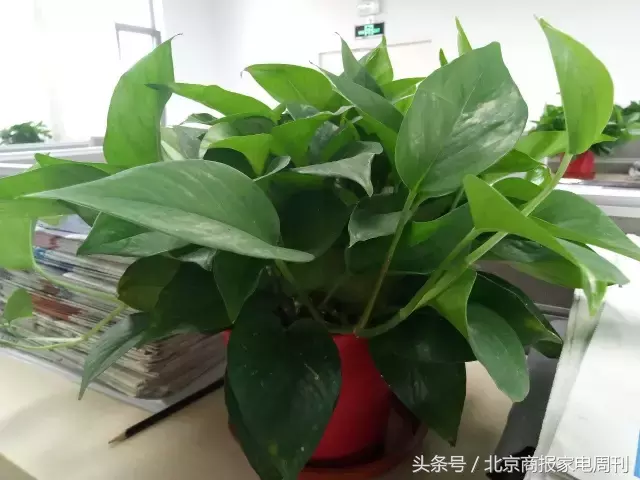 魅蓝 E2 测评：玩手机造型设计还能如何简单化