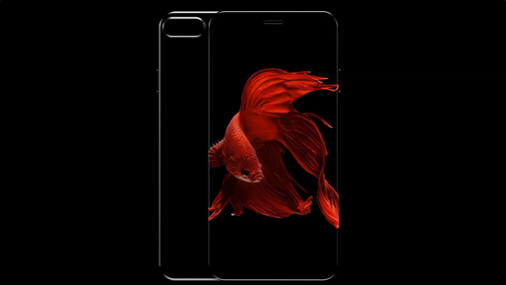 iphone8：配备全方位升級 全面屏手机 双摄像头