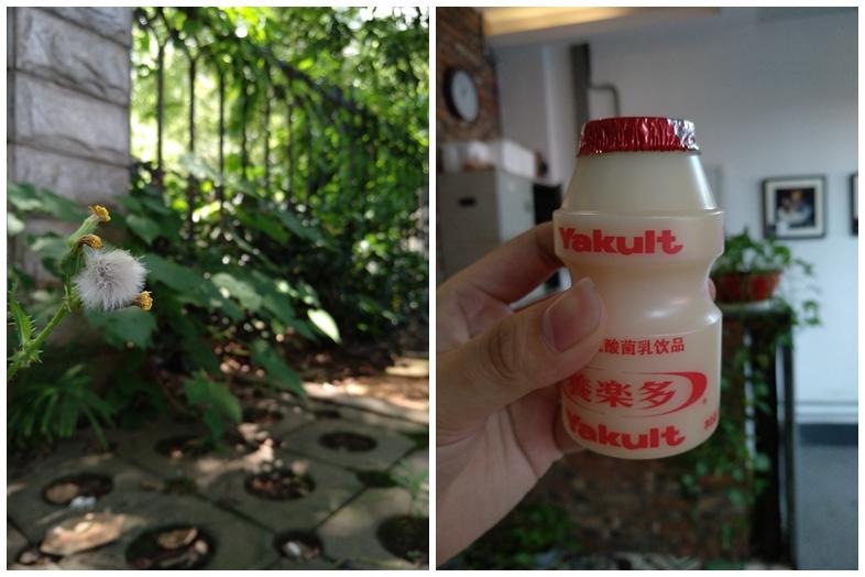 小米手機(jī)Max2測評：照相機(jī)優(yōu)異！充電電池一天用完算我輸