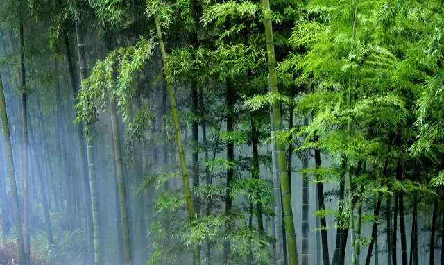 六一怎么过？请收好武汉这份最强亲子遛娃攻略！