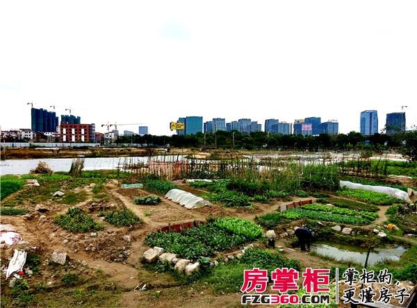 禅城大富地块即将推出 政府无强制规划需开放小区