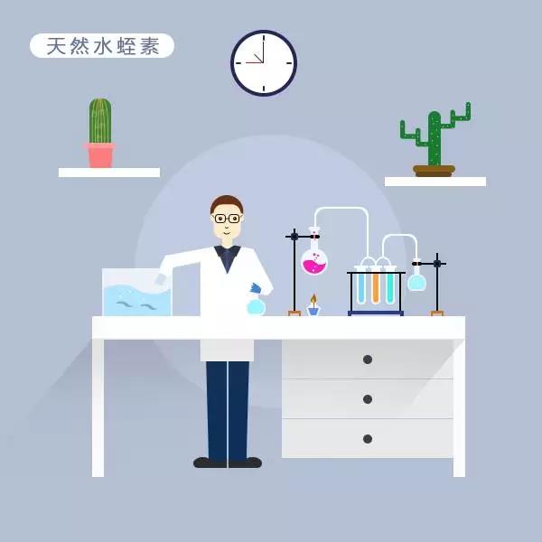 水蛭干粉，重组水蛭素，天然水蛭素傻傻分不清楚
