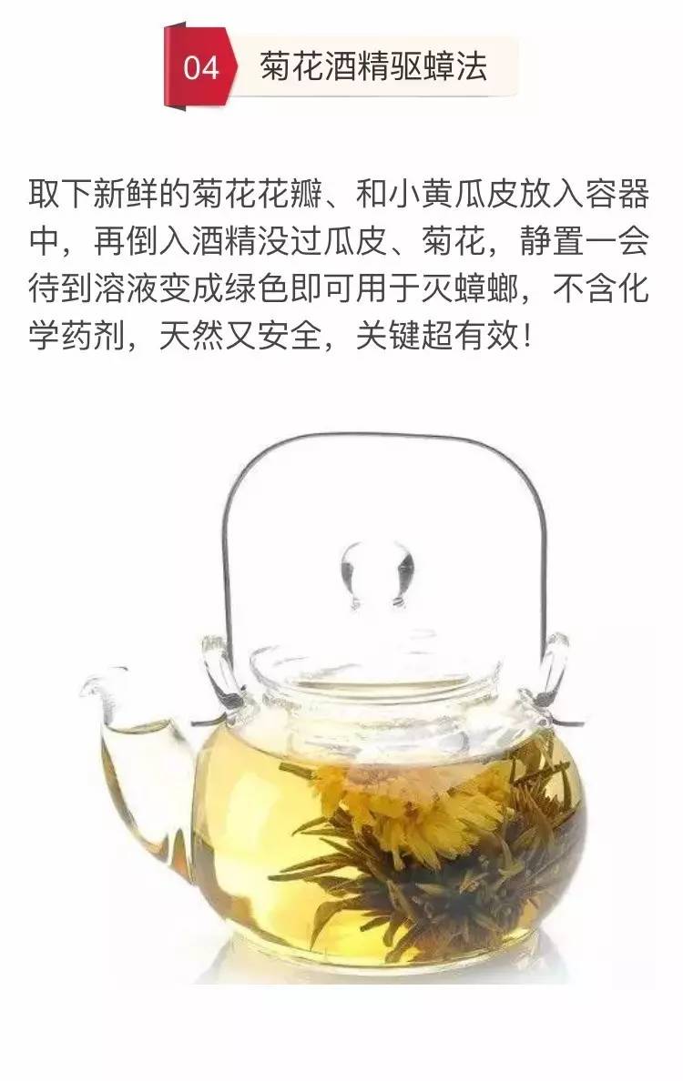 家里放一物绝对没蟑螂