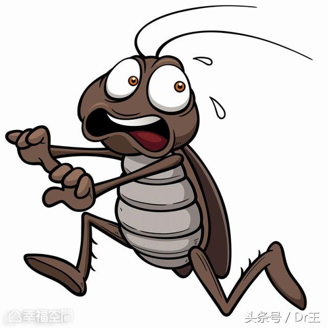 蟑螂就怕这味，一分钟自制天然灭蟑药，无毒且环保！