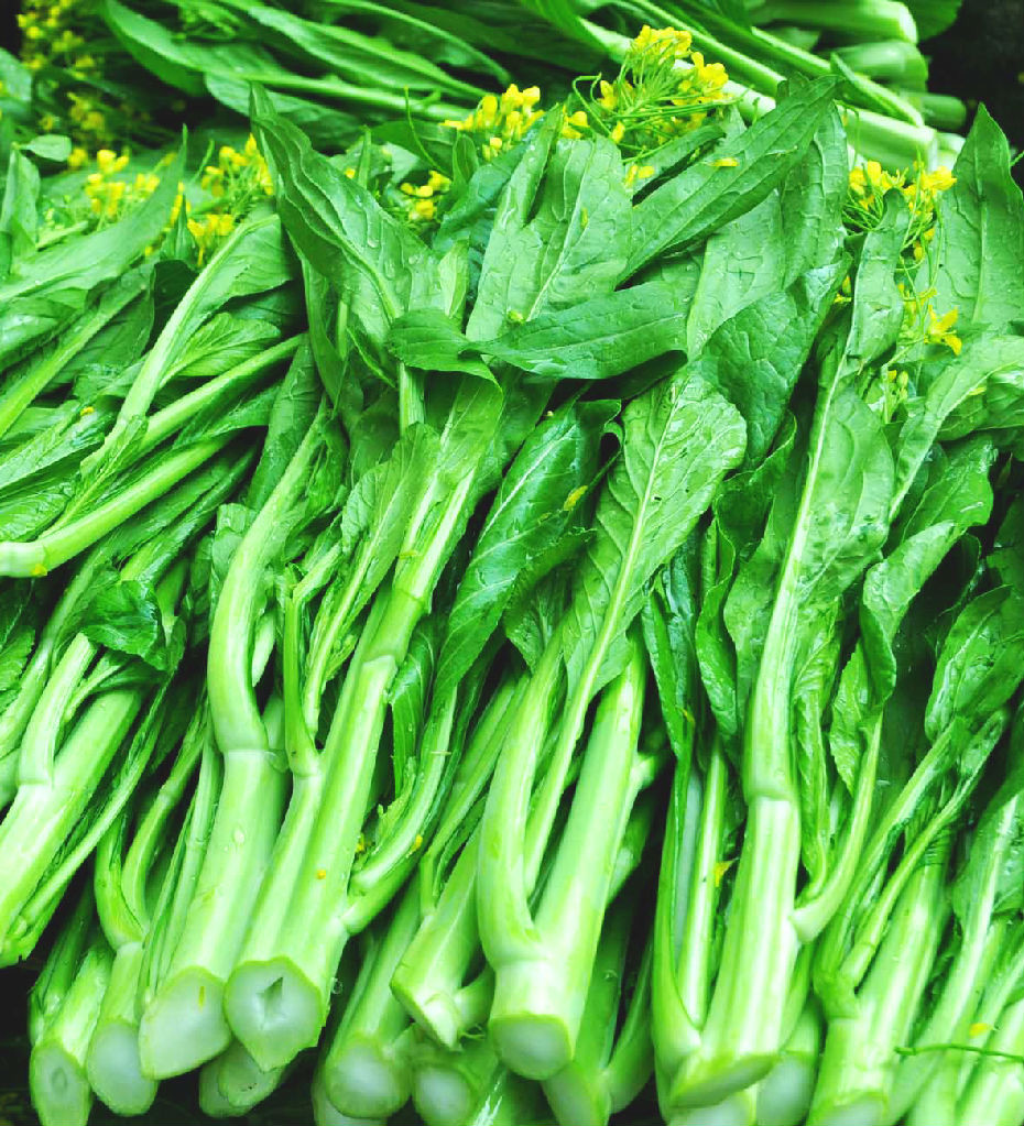 营养最丰富的十种绿叶蔬菜