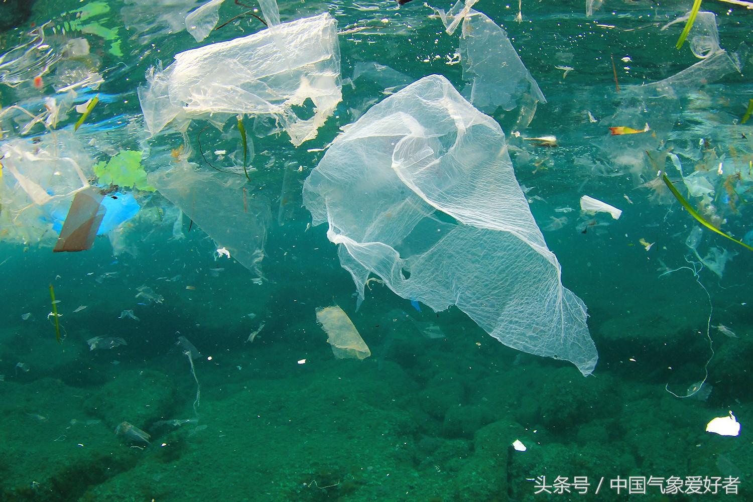 塑料污染现状触目惊心，专家：大海里的塑料比鱼多！