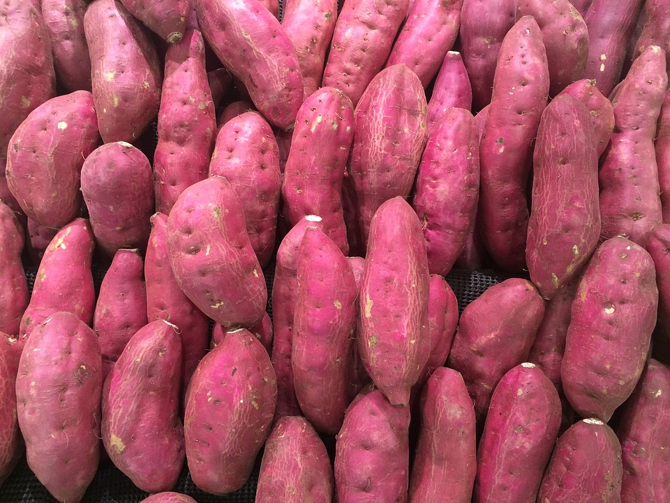 你吃過多少種薯類食物？為什么要吃呢？