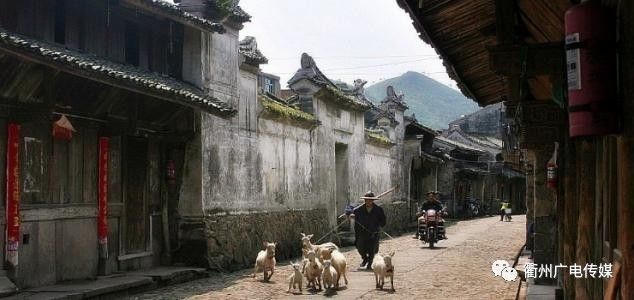 浙江这几个小众旅游胜地，有九成游客不知道，景美还人少