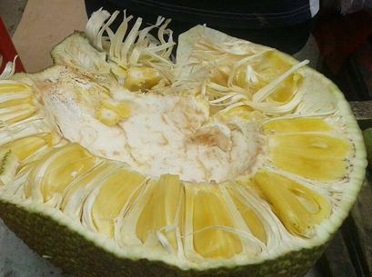 菠萝蜜怎么切(菠萝蜜的正确剥法图片)