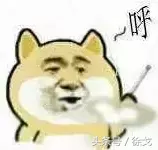 徐戈:免费流量死光,发大财的都玩起了付费推广渠道