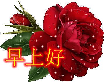 上好|正月十三早上好 最漂亮的早安图片带着满满的祝福送给你！