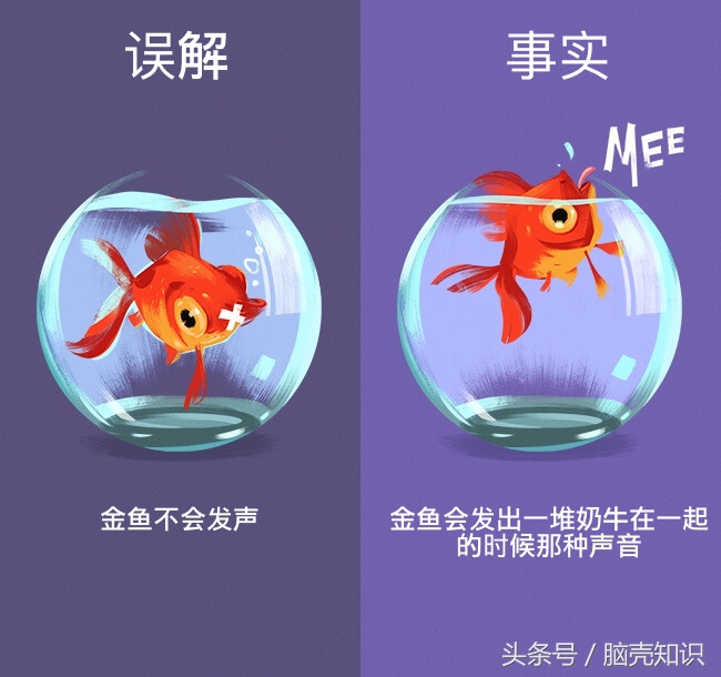 12个我们认为理所当然实际上却是错误的