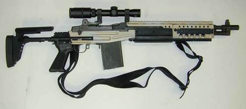 风行者M96狙击步枪