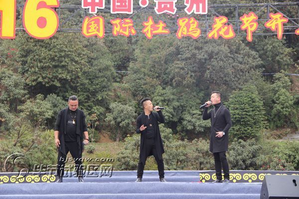 2016中国 贵州百里杜鹃国际杜鹃花节开幕