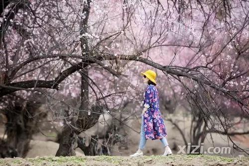 惠州网红“花姐”援藏三年，在拥有世界最美春天的地方等你