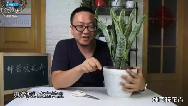 如何快速涨粉100万？这里有10个套路｜头条号涨粉攻略