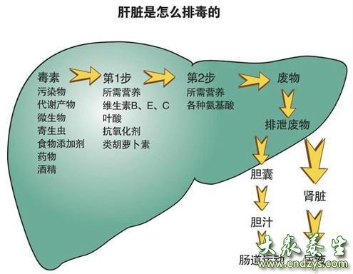 在家这么做竟然可以排出结石
