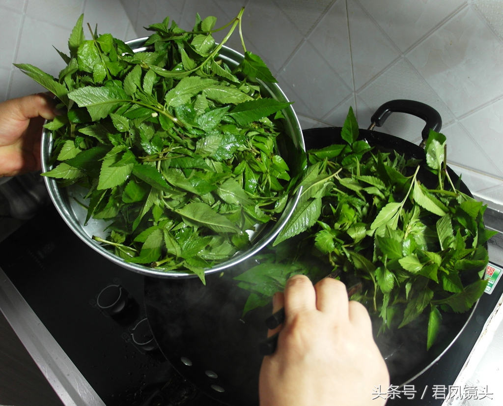贤妻自制美味野菜:凉拌鬼针草!食药两用,抗癌养生又防病