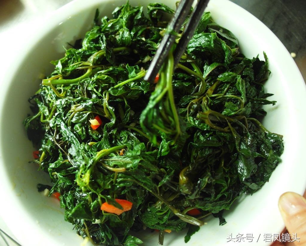 贤妻自制美味野菜:凉拌鬼针草!食药两用,抗癌养生又防病