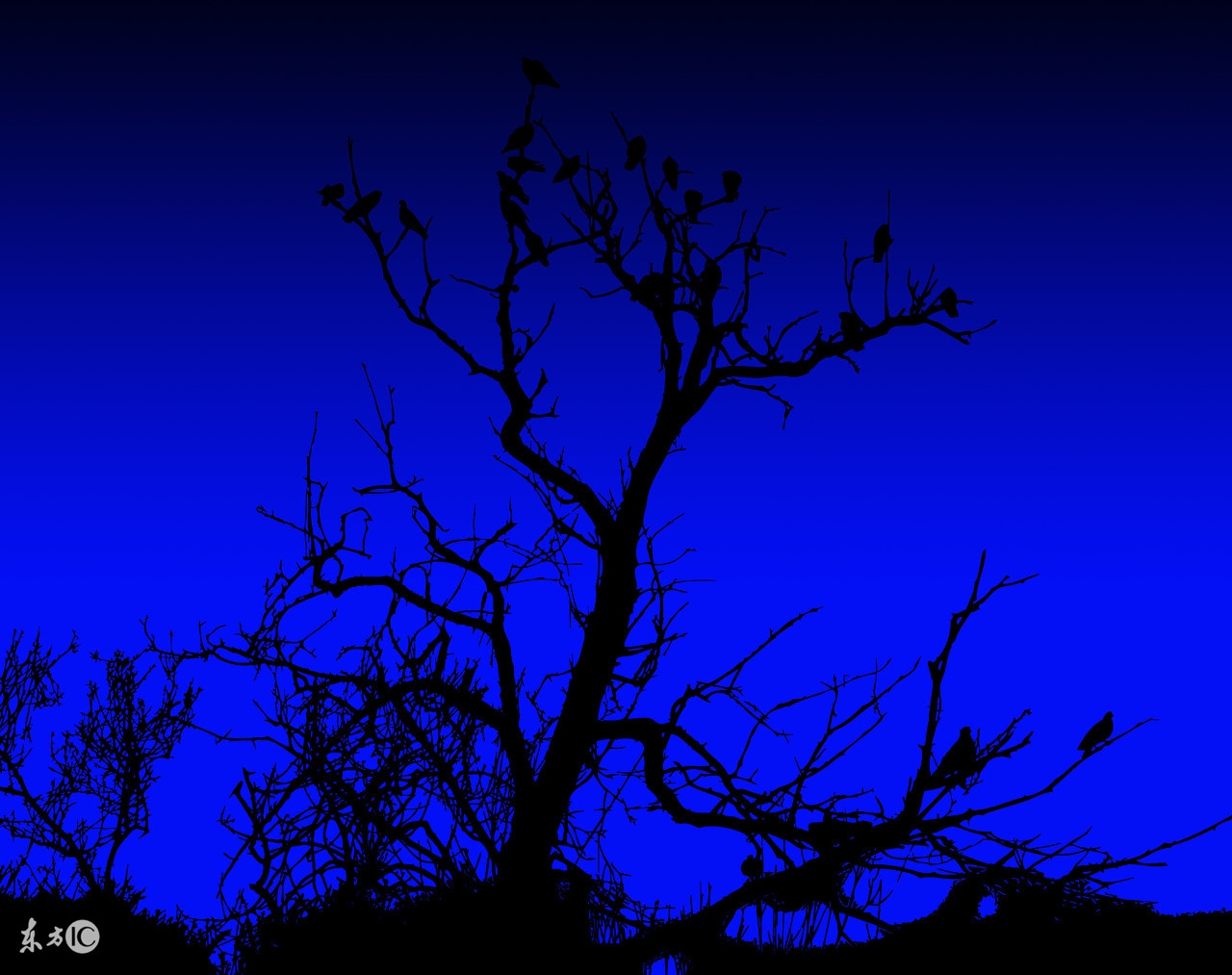 民间农村真实鬼故事:地上传来的声音