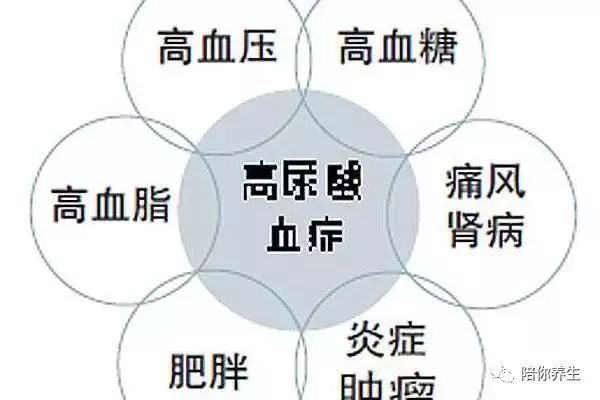 高尿酸该如何调理 尿酸高的吃这些准错不了