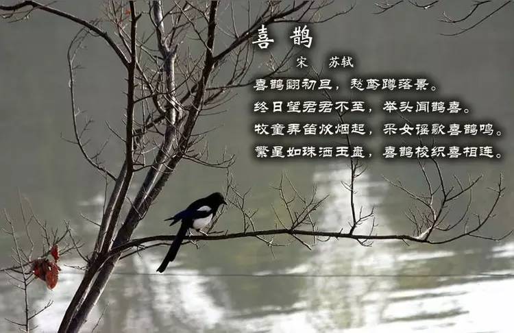 鸟语花香古诗词，婉转悦耳妙及了-第5张图片-非凡网