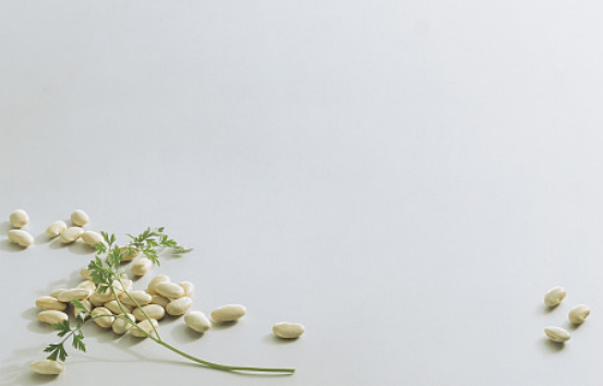 探秘“轻断食”减脂成分：白芸豆